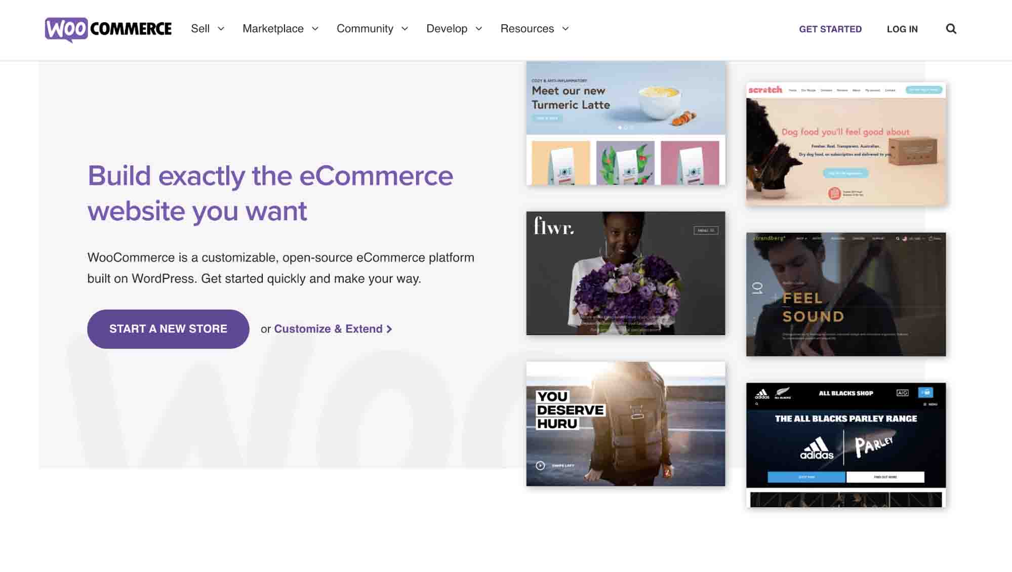 Best e-commerce platform — WooCommerce website