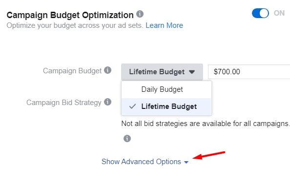 Facebook ads scheduling — Campaign Budget Optimization