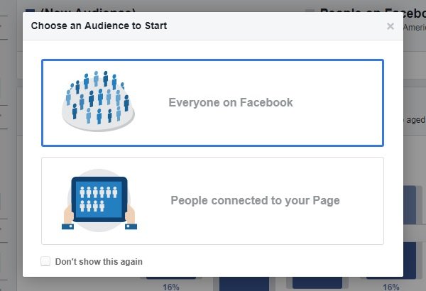 Facebook ad targeting — Audience Insights pop up